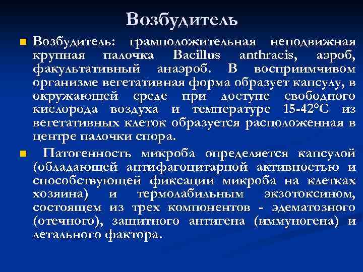 Возбудитель n n Возбудитель: грамположительная неподвижная крупная палочка Bacillus anthracis, аэроб, факультативный анаэроб. В