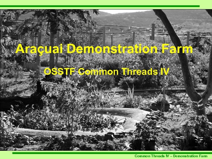 Araçuai Demonstration Farm OSSTF Common Threads IV – Demonstration Farm 