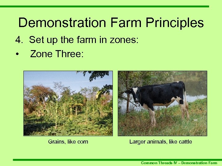 Demonstration Farm Principles 4. Set up the farm in zones: • Zone Three: Grains,
