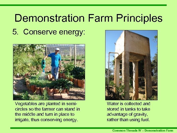Demonstration Farm Principles 5. Conserve energy: Vegetables are planted in semicircles so the farmer
