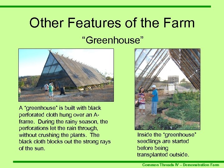 Other Features of the Farm “Greenhouse” A “greenhouse” is built with black perforated cloth