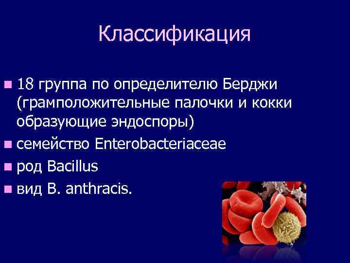 Классификация n 18 группа по определителю Берджи (грамположительные палочки и кокки образующие эндоспоры) n