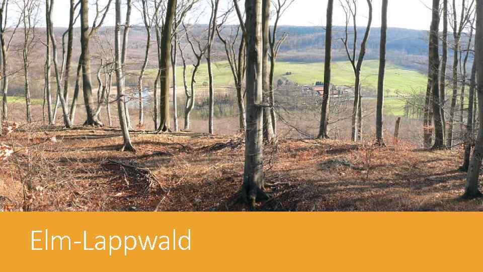 Elm-Lappwald 