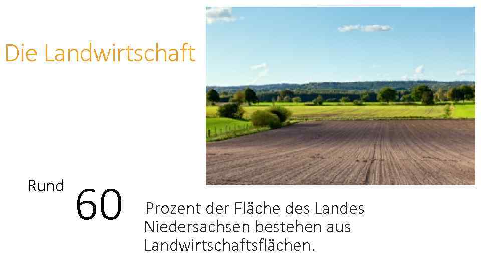 Die Landwirtschaft Rund 60 Prozent der Fläche des Landes Niedersachsen bestehen aus Landwirtschaftsflächen. 