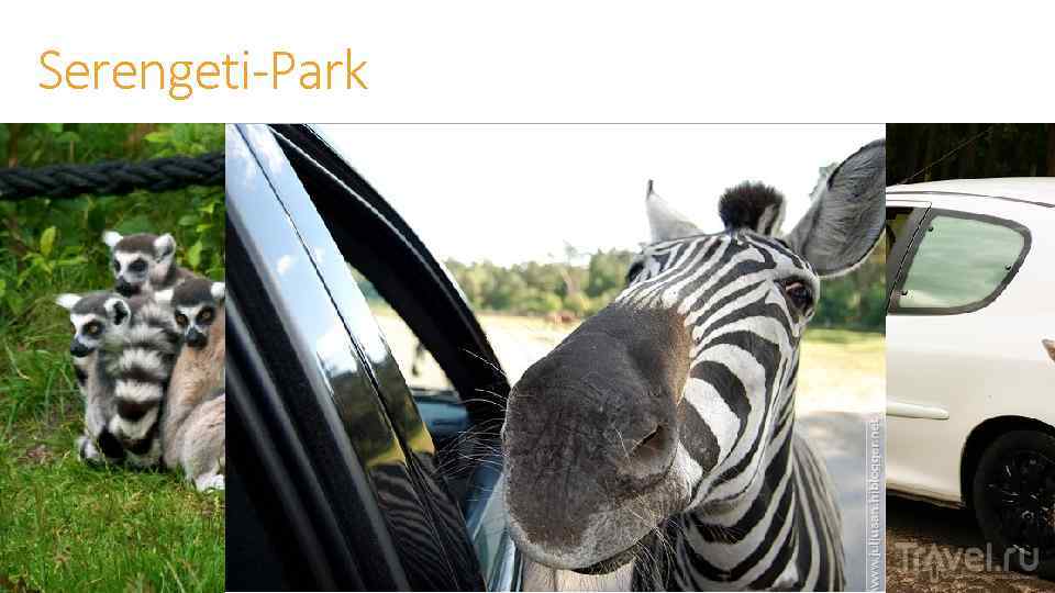 Serengeti-Park 
