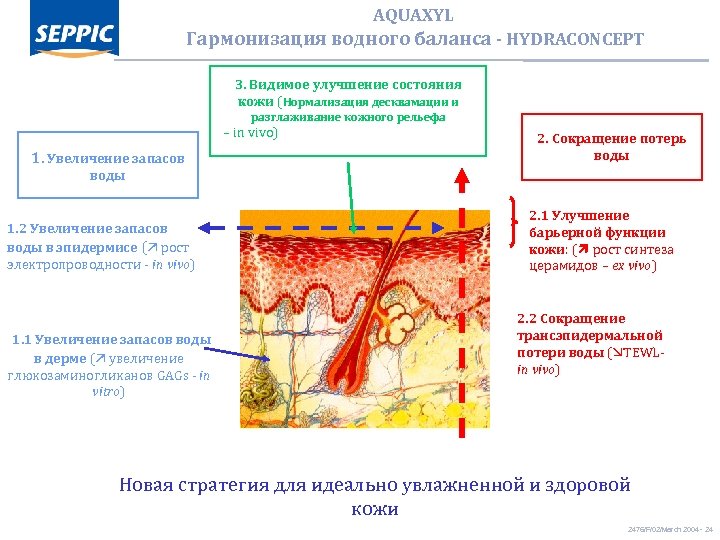 AQUAXYL Гармонизация водного баланса - HYDRACONCEPT 3. Видимое улучшение состояния кожи (Нормализация десквамации и