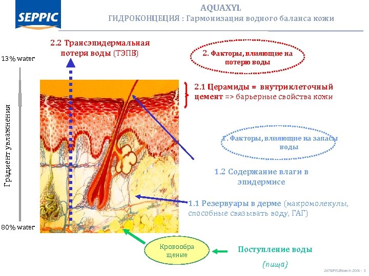 AQUAXYL ГИДРОКОНЦЕЦИЯ : Гармонизация водного баланса кожи 13% water 2. 2 Трансэпидермальная потеря воды