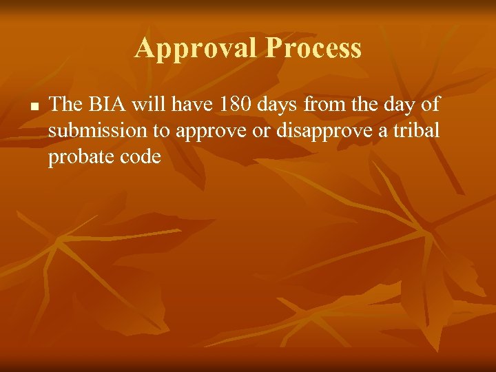 Approval Process n The BIA will have 180 days from the day of submission