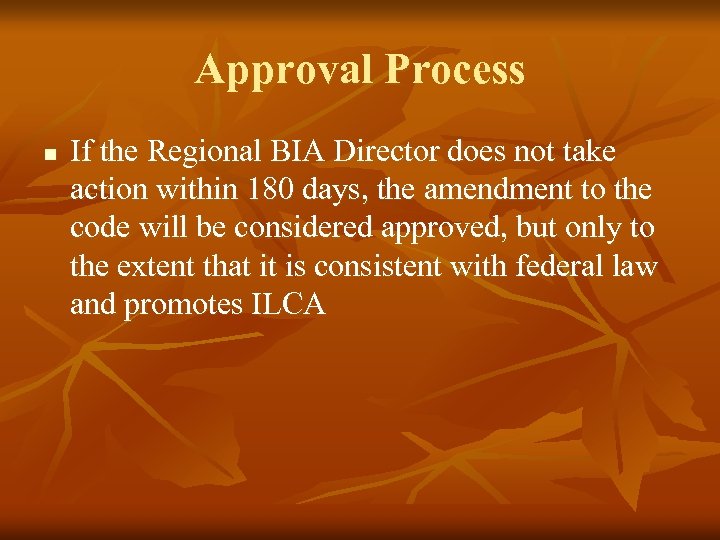 Approval Process n If the Regional BIA Director does not take action within 180