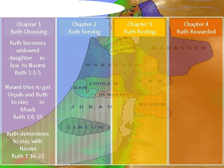 Survey of the book of Ruth: Chapter 1 Ruth Choosing Ruth becomes widowed daughter