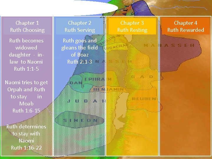 Survey of the book of Ruth: Chapter 1 Ruth Choosing Chapter 2 Ruth Serving