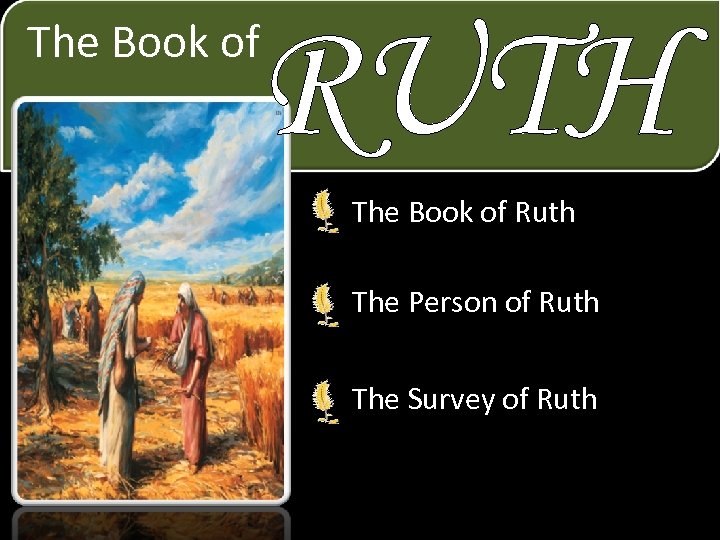 RUTH The Book of Ruth The Person of Ruth The Survey of Ruth 