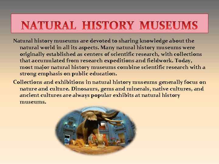 Natural history museums are devoted to sharing knowledge about the natural world in all