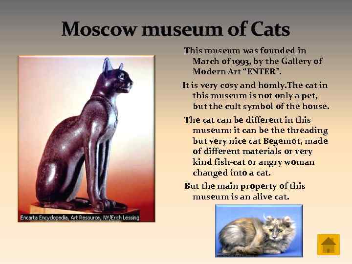 Moscow museum of Cats This museum was founded in March of 1993, by the