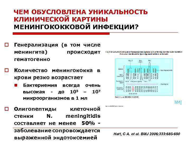 ЧЕМ ОБУСЛОВЛЕНА УНИКАЛЬНОСТЬ КЛИНИЧЕСКОЙ КАРТИНЫ МЕНИНГОКОККОВОЙ ИНФЕКЦИИ? o Генерализация (в том числе менингита) происходит