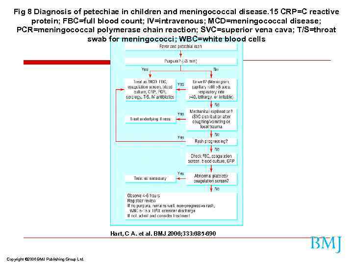 Fig 8 Diagnosis of petechiae in children and meningococcal disease. 15 CRP=C reactive protein;