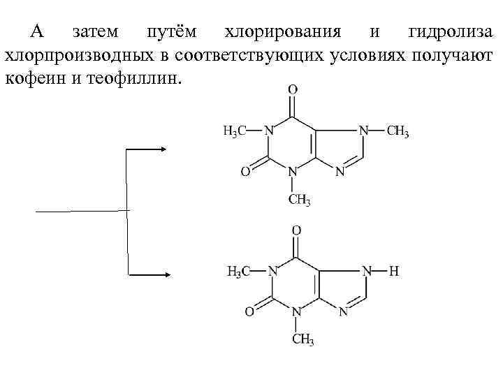 Пурин какой класс