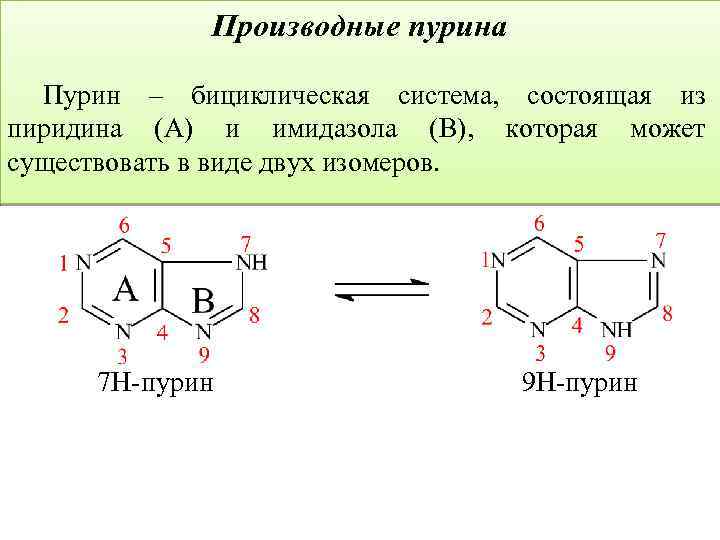 Пурины где