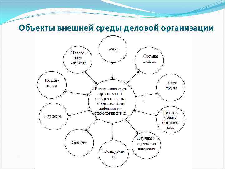 Объекты внешней среды деловой организации 