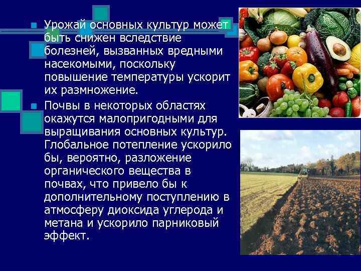 n n Урожай основных культур может быть снижен вследствие болезней, вызванных вредными насекомыми, поскольку