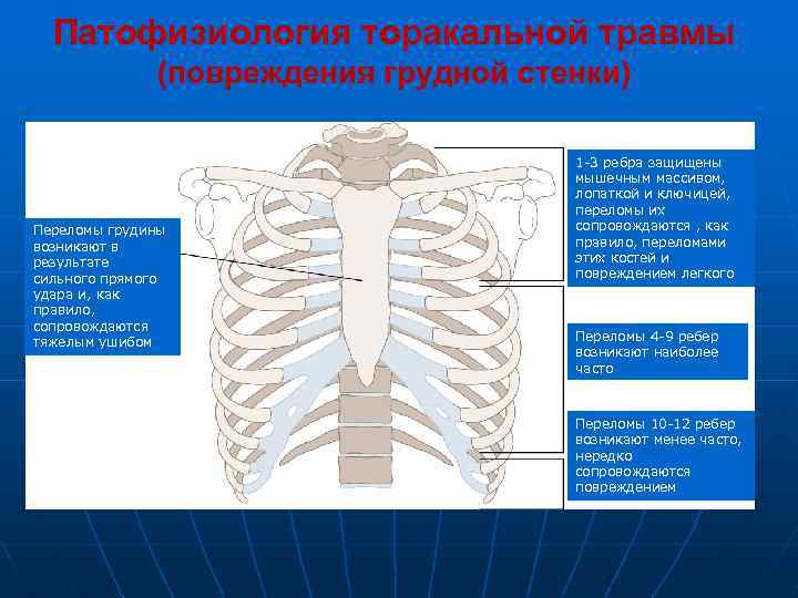 Патофизиология торакальной травмы (повреждения грудной стенки) Переломы грудины возникают в результате сильного прямого удара