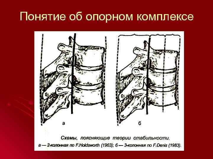 Понятие об опорном комплексе 