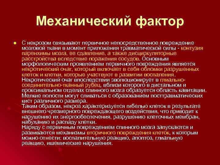 Механический фактор l С некрозом связывают первичное непосредственное повреждение мозговой ткани в момент приложения