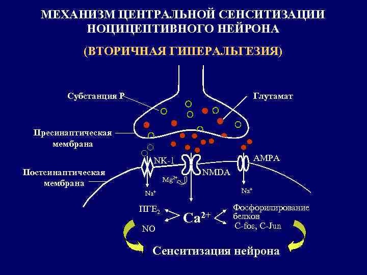 Центр механизм