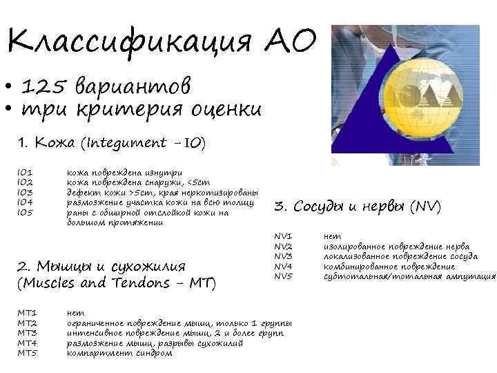 Классификация АО • 125 вариантов • три критерия оценки 1. Кожа (Integument - IO)