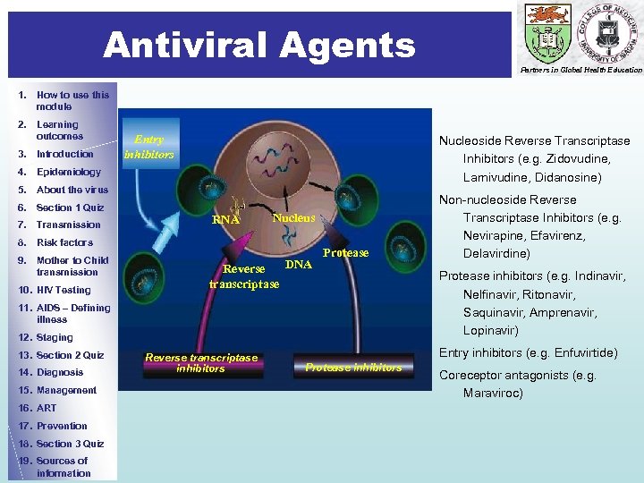 Antiviral Agents Partners in Global Health Education 1. How to use this module 2.