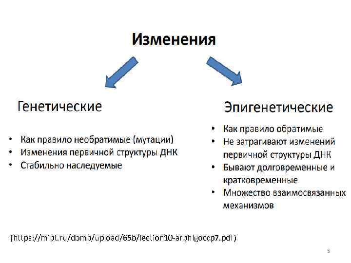 (https: //mipt. ru/dbmp/upload/65 b/lection 10 -arphlgoccp 7. pdf) 5 