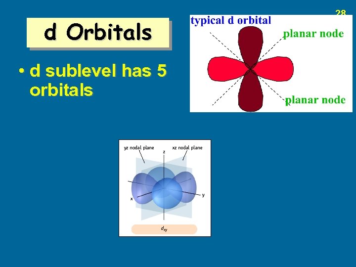 d Orbitals • d sublevel has 5 orbitals 28 