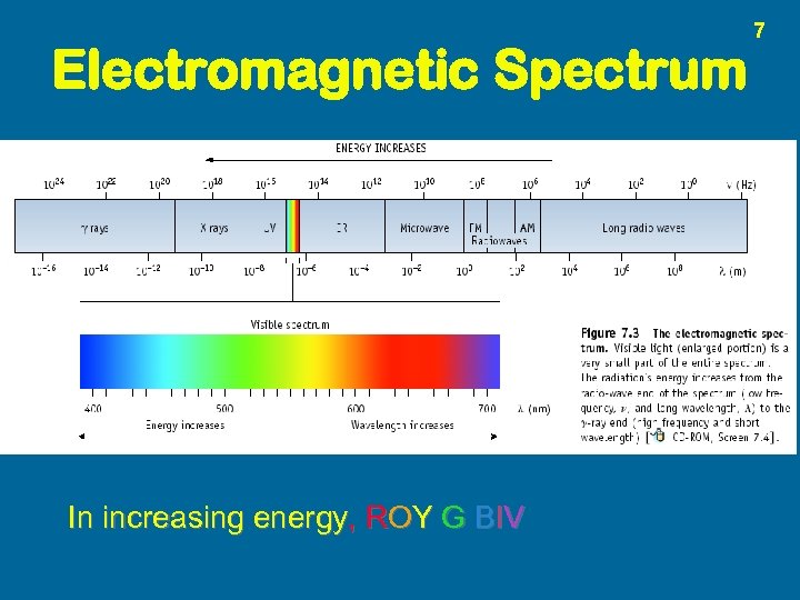 Electromagnetic Spectrum In increasing energy, ROY G BIV 7 