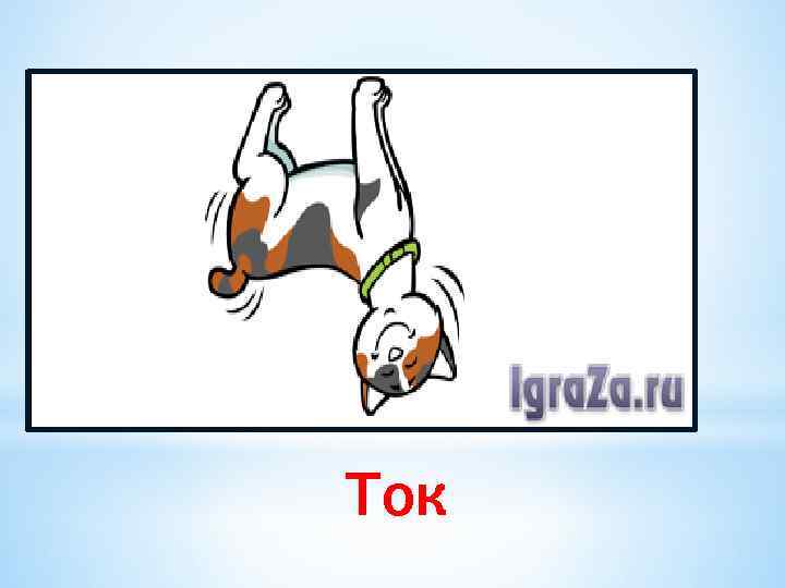 Ток 