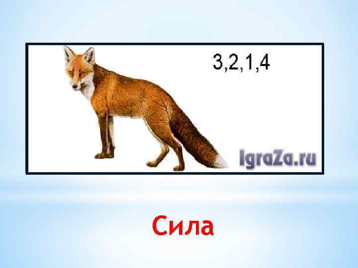 Сила 