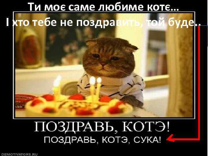 Ти моє саме любиме котє… І хто тебе не поздравить, той буде. . 