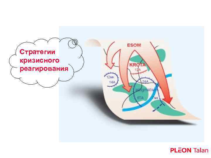 Стратегии кризисного реагирования 