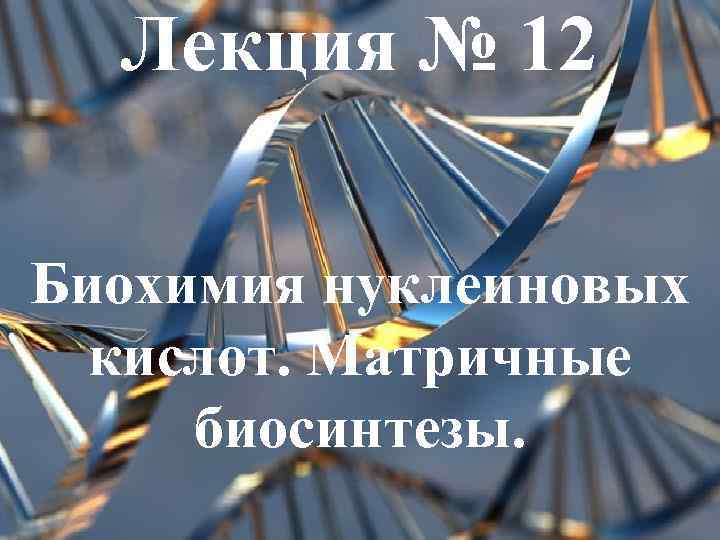 Лекция № 12 Биохимия нуклеиновых кислот. Матричные биосинтезы. 