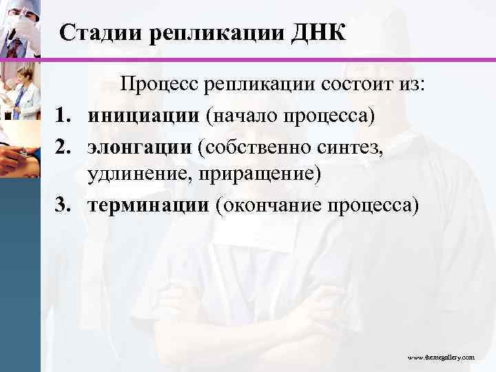 Стадии репликации ДНК Процесс репликации состоит из: 1. инициации (начало процесса) 2. элонгации (собственно