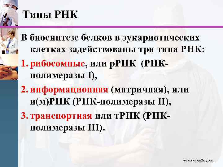 Типы РНК В биосинтезе белков в эукариотических клетках задействованы три типа РНК: 1. рибосомные,