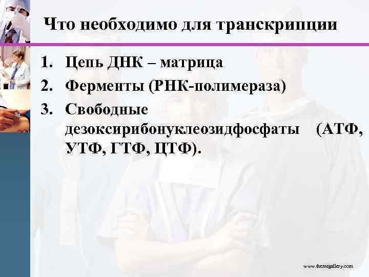 Что необходимо для транскрипции 1. Цепь ДНК – матрица 2. Ферменты (РНК-полимераза) 3. Свободные