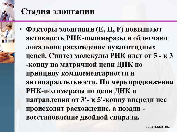 Стадия элонгации • Факторы элонгации (E, H, F) повышают активность РНК-полимеразы и облегчают локальное