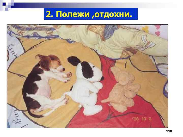 2. Полежи , отдохни. 110 
