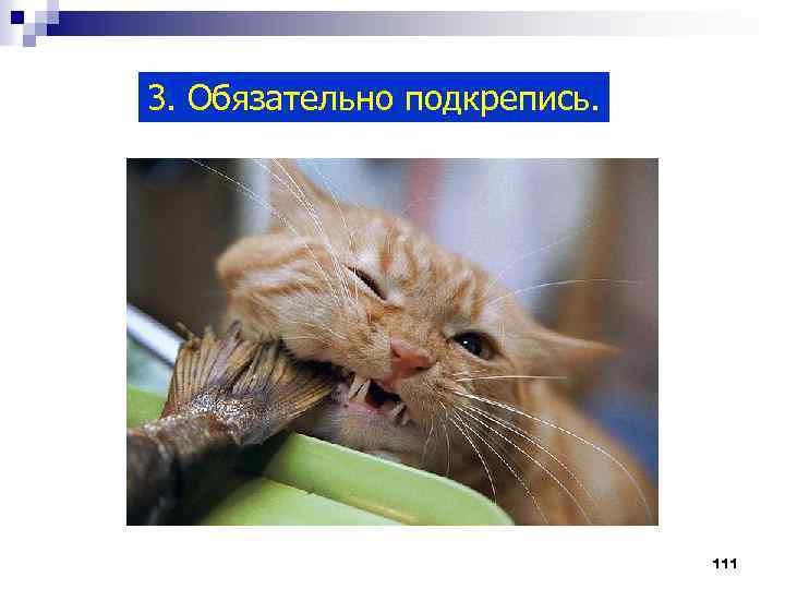3. Обязательно подкрепись. 111 