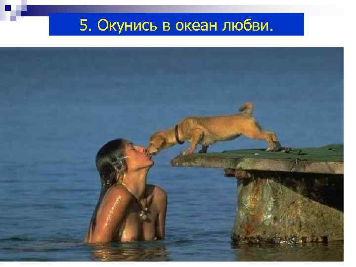 5. Окунись в океан любви. 113 