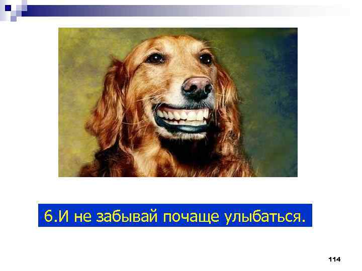 6. И не забывай почаще улыбаться. 114 