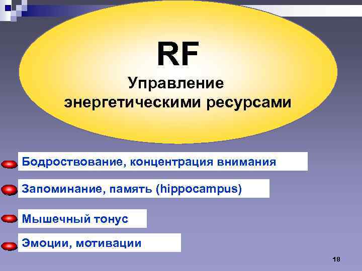 RF Управление энергетическими ресурсами Бодроствование, концентрация внимания Запоминание, память (hippocampus) Мышечный тонус Эмоции, мотивации