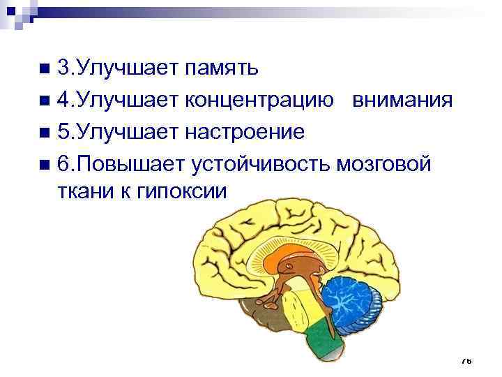 N память. Фактор который увеличивает устойчивость головного мозга. Что увеличивает устойчивость головного мозга к гипоксии. 2 Какой фактор увеличивает устойчивость головного мозга к гипоксии?.