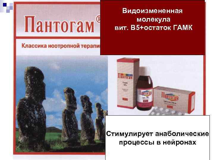 Видоизмененная молекула вит. В 5+остаток ГАМК Стимулирует анаболические процессы в нейронах 78 