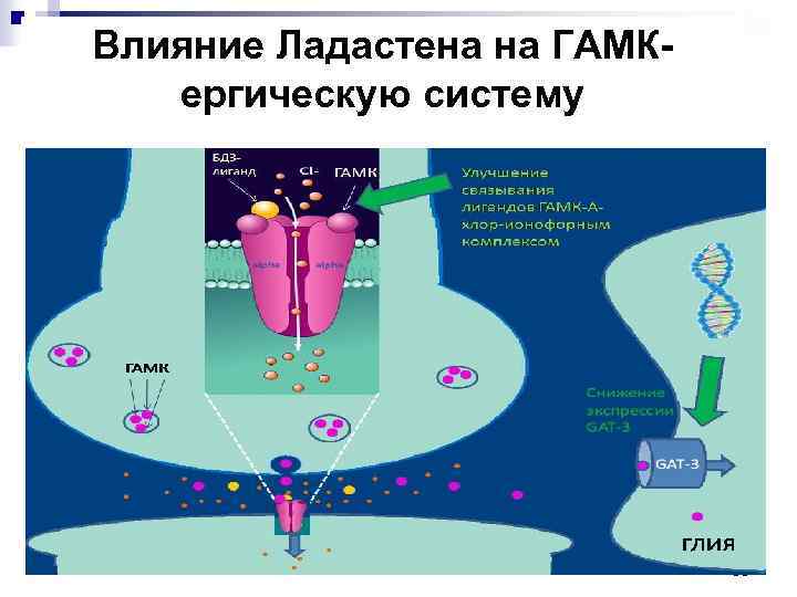 Влияние Ладастена на ГАМКергическую систему 98 